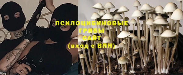 гашик Абинск
