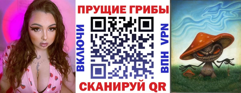 продажа наркотиков  Ленинградская  KRAKEN вход  Псилоцибиновые грибы прущие грибы 